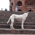 thumbnails/000-DSC_5470.JPG.small.jpeg