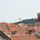 thumbnails/002-DSC_3875.JPG.small.jpeg