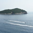 thumbnails/004-DSC_3892.JPG.small.jpeg