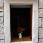 thumbnails/006-DSC_4064.JPG.small.jpeg