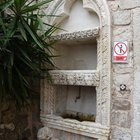 thumbnails/002-DSC_xa4150.JPG.small.jpeg