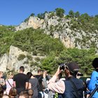 thumbnails/009-DSC_4512.JPG.small.jpeg