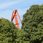 thumbnails/005-DSC_4848.JPG.small.jpeg