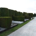 thumbnails/005-DSC_5186.JPG.small.jpeg