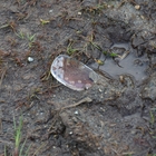 thumbnails/003-DSC_6120.jpeg.small.jpeg