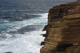 thumbnails/009-DSC_9049.JPG.small.jpeg
