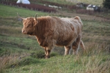thumbnails/013-DSC_9107.JPG.small.jpeg