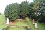 thumbnails/015-DSC_9123.JPG.small.jpeg
