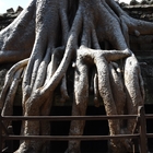 thumbnails/010-21_DSC_8349.jpeg.small.jpeg